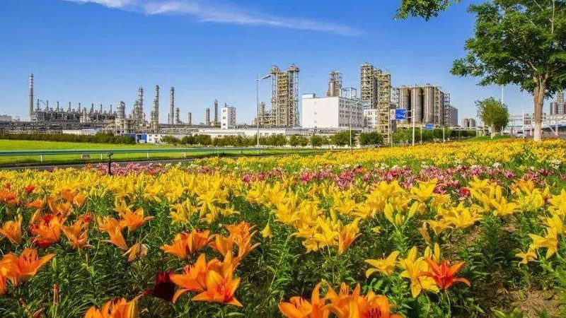 化工尾气处理设备：如何选择合适的批发价格