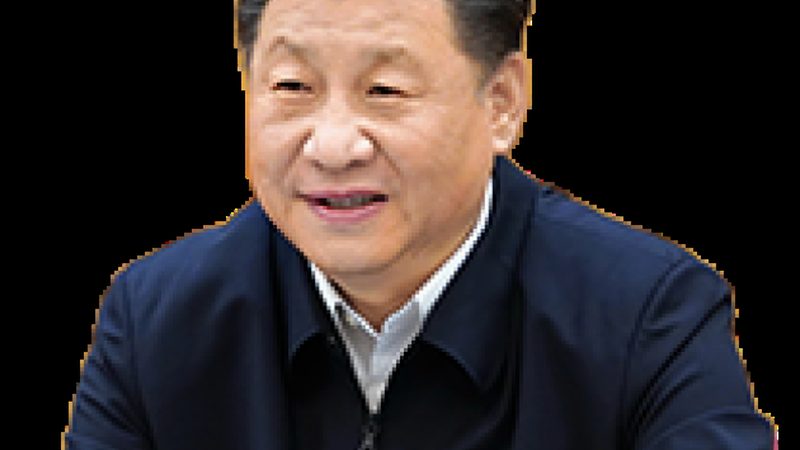 农用精细化工产品安装步骤详解，确保使用安全与高效